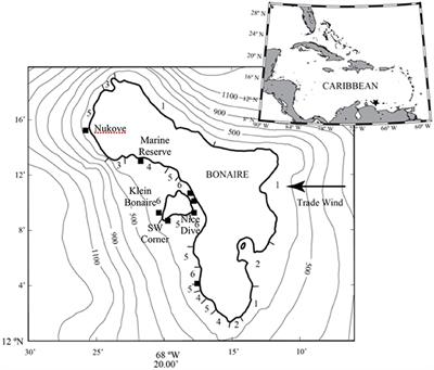 Mesophotic Coral Ecosystems: A Geoacoustically Derived Proxy for Habitat and Relative Diversity for the Leeward Shelf of Bonaire, Dutch Caribbean